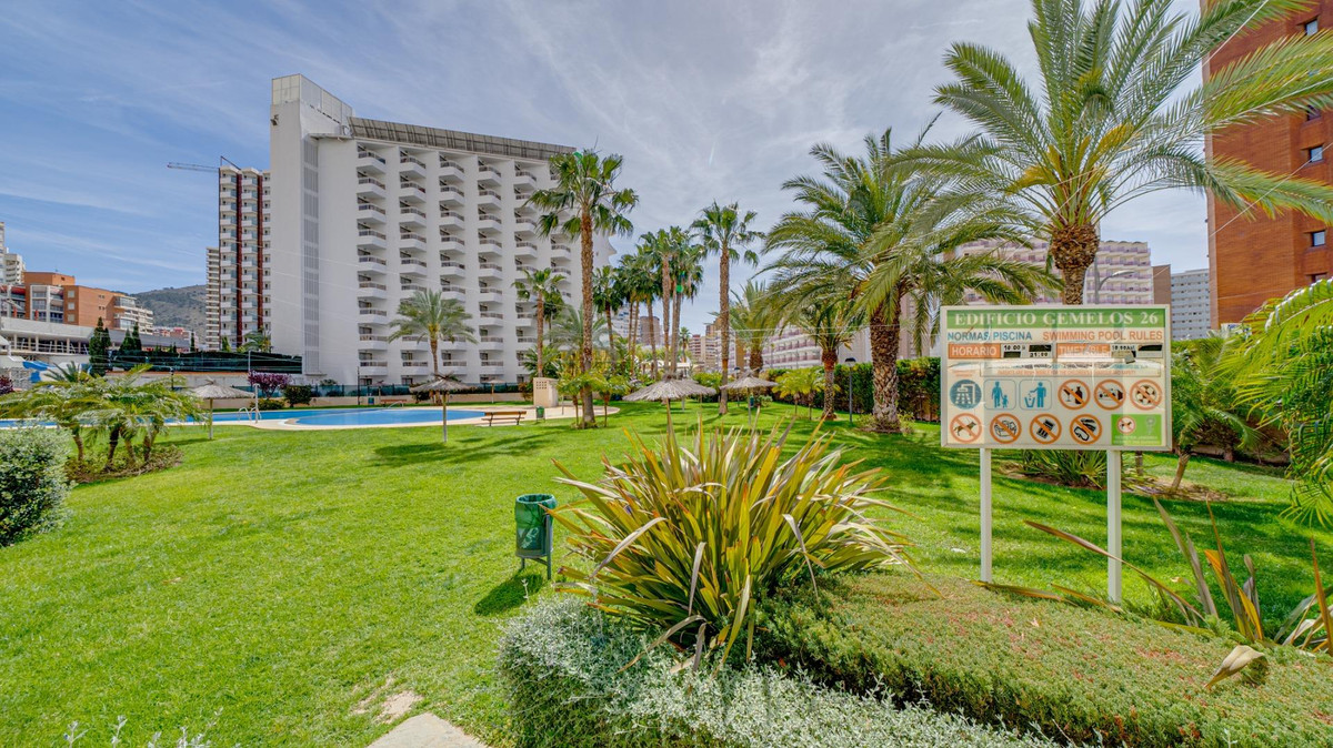 Apartment – Middle Floor Apartment in Benidorm