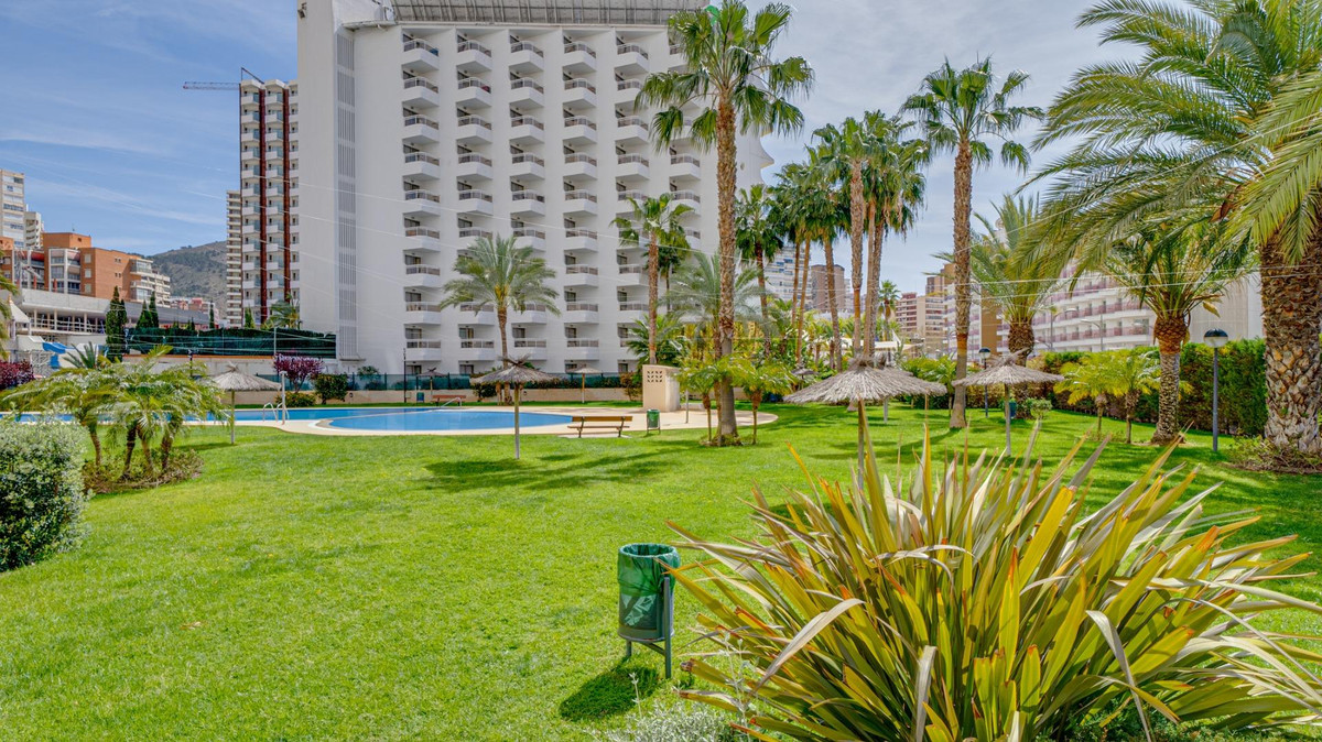 Apartment – Middle Floor Apartment in Benidorm
