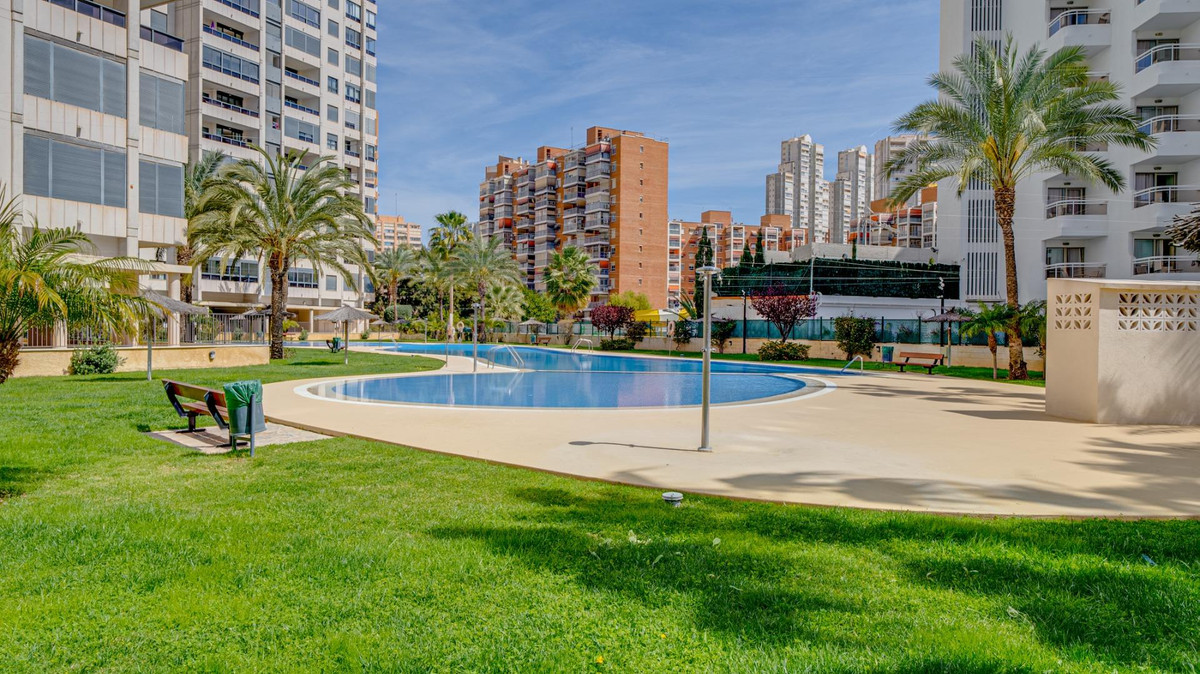 Apartment – Middle Floor Apartment in Benidorm