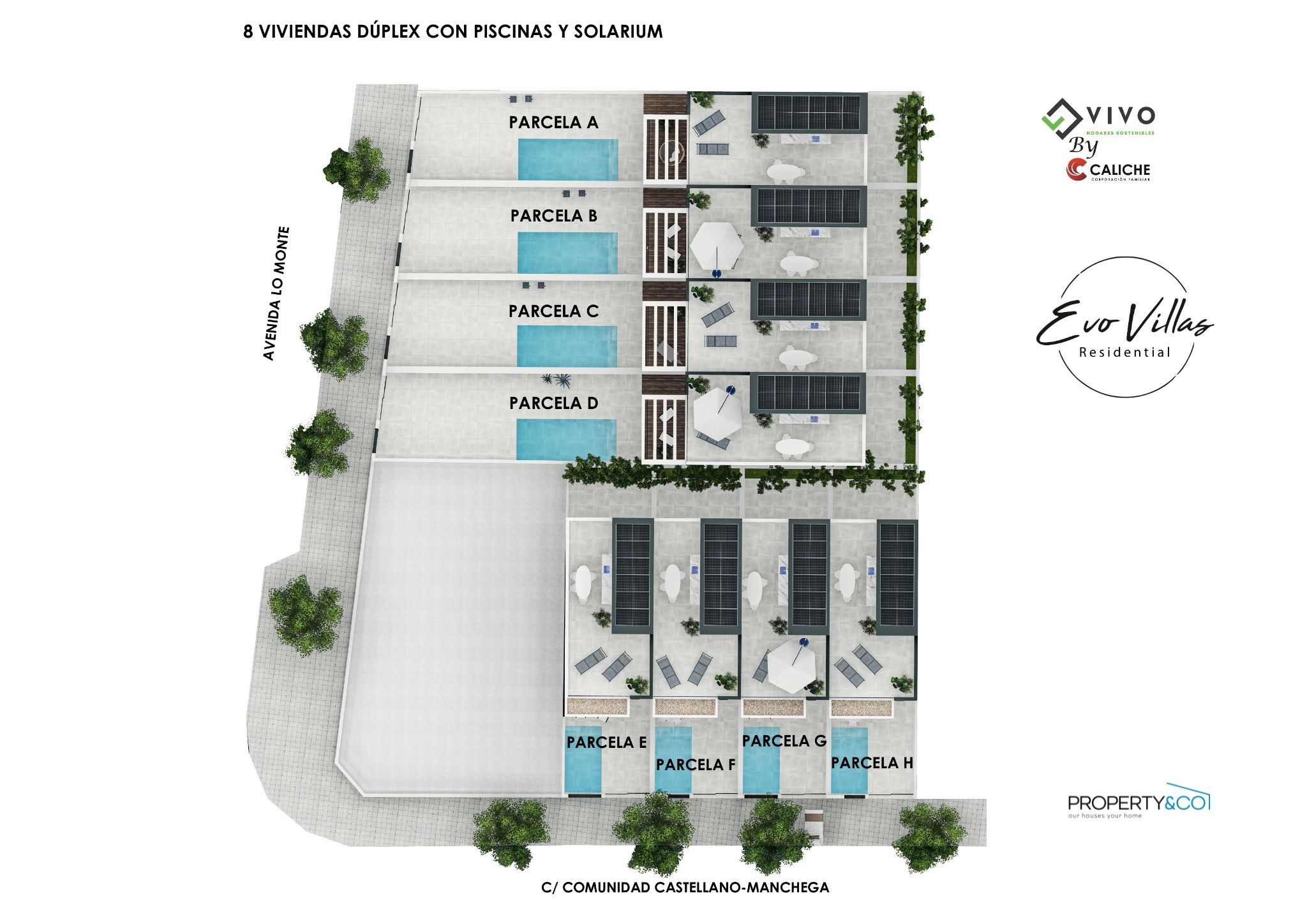 plot_1773065117_yEe09D villa in pilar de la horadada