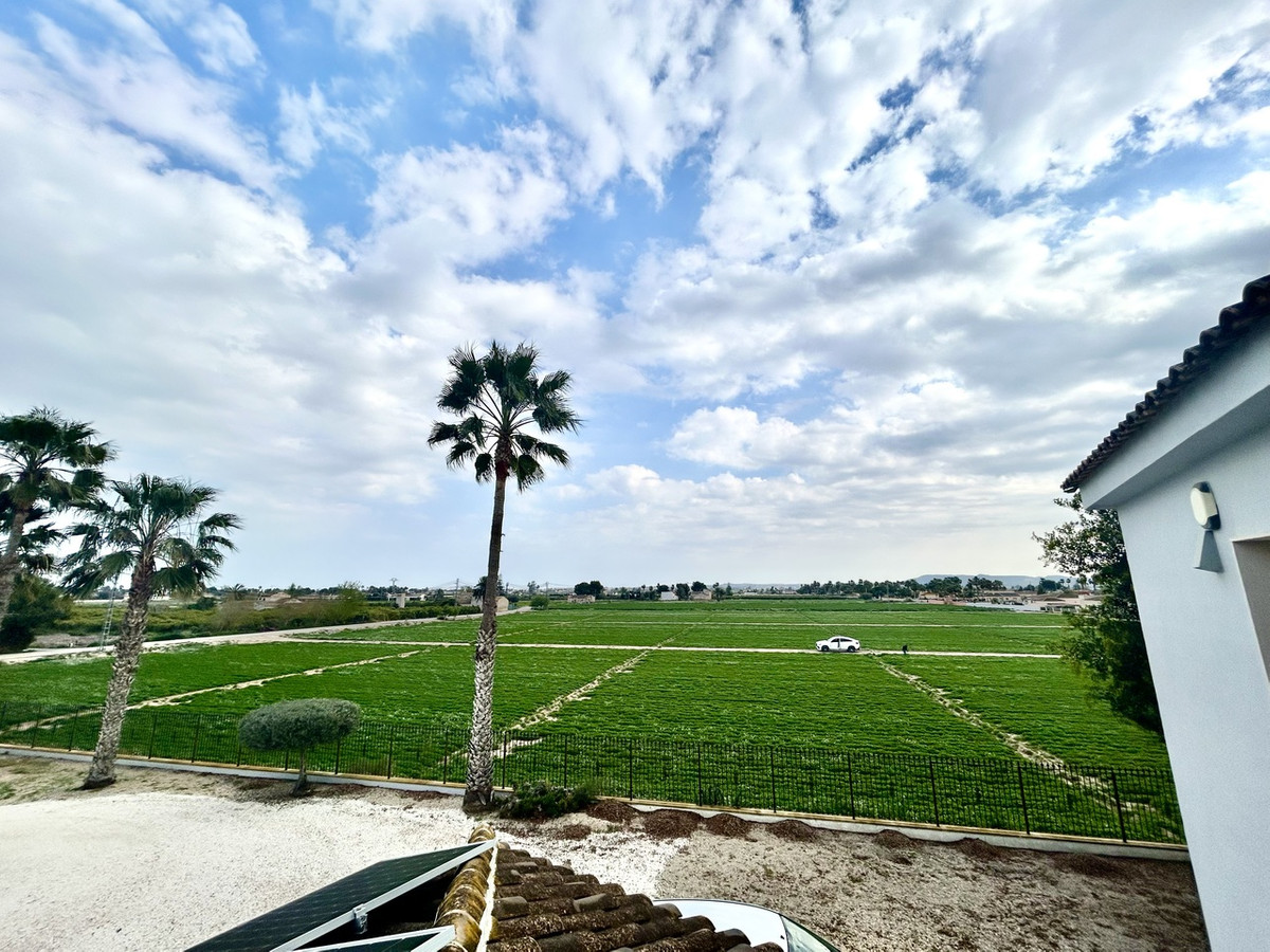 House – Detached Villa in Catral