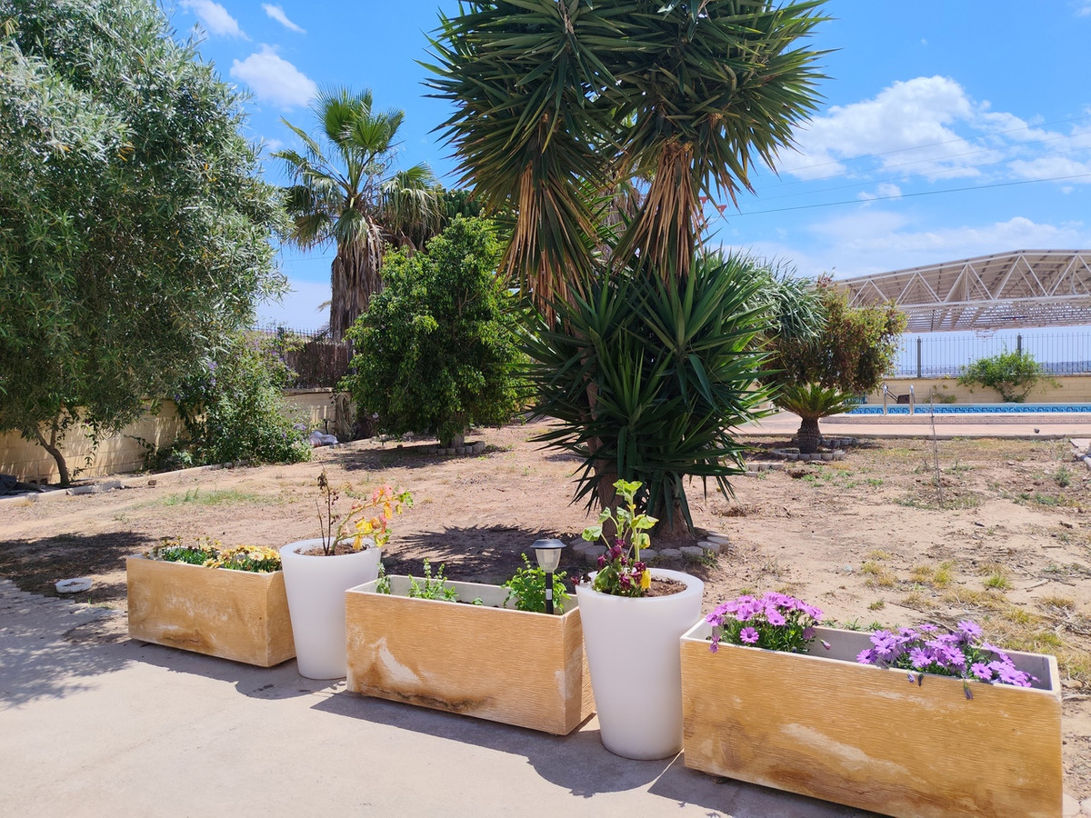 House – Detached Villa in Los Montesinos