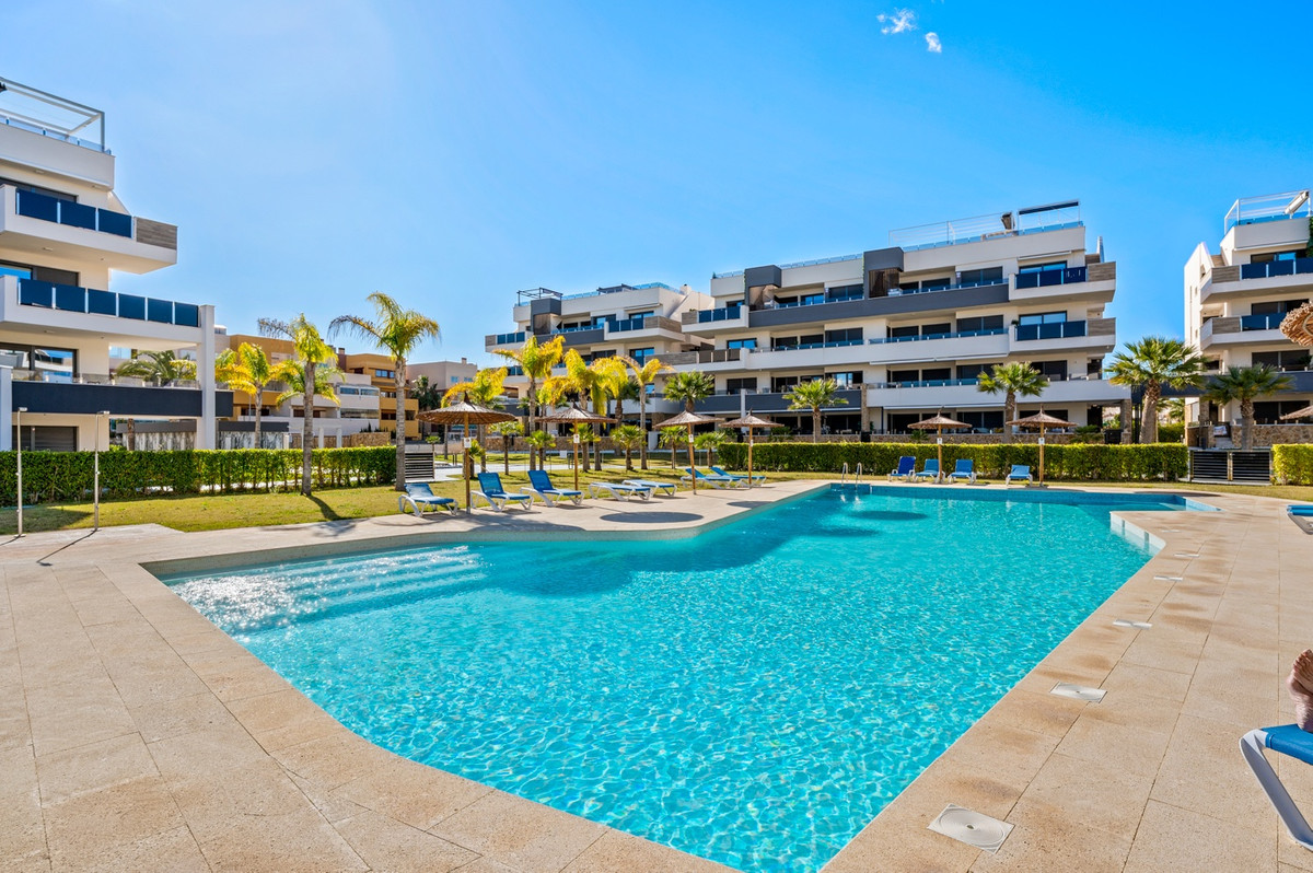 Apartment – Ground Floor Apartment in Orihuela