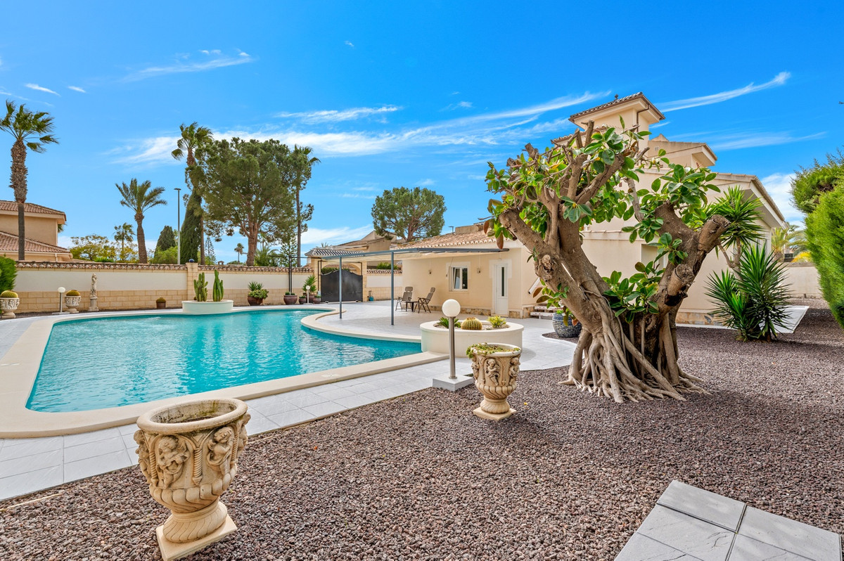 House – Detached Villa in Rojales