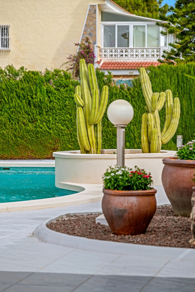 House – Detached Villa in Rojales