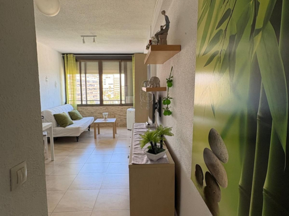 Apartment – Middle Floor Apartment in Torrevieja