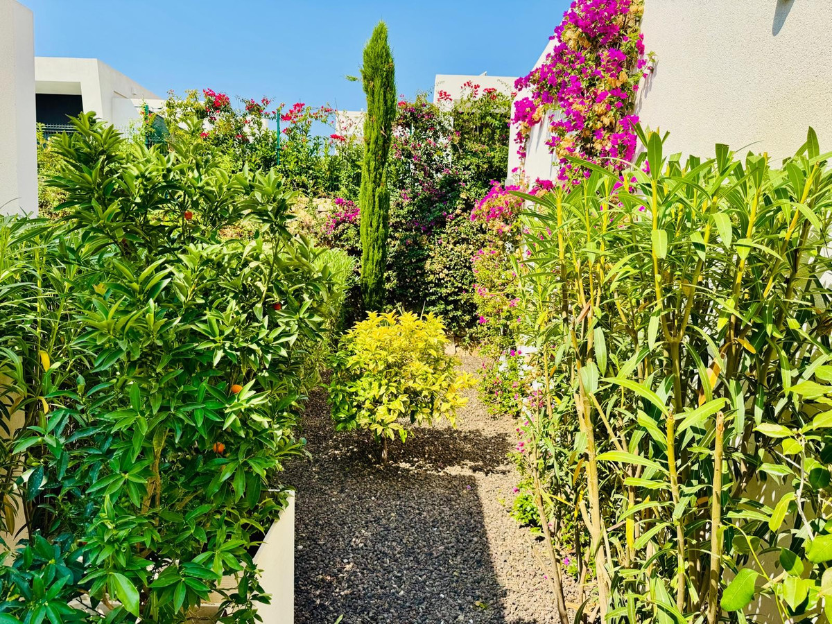 ShowFeedImage House – Detached Villa in Algorfa