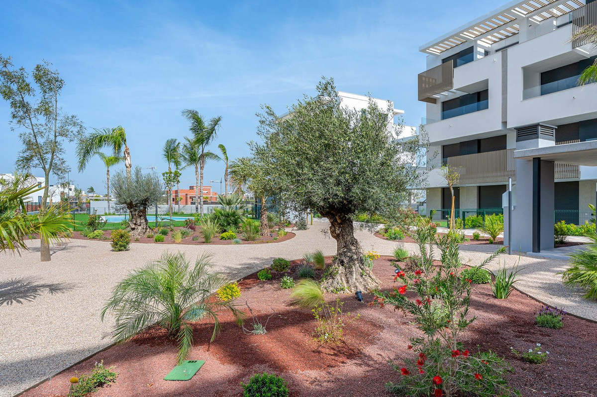 ShowFeedImage Apartment – Middle Floor Apartment in Torre-Pacheco