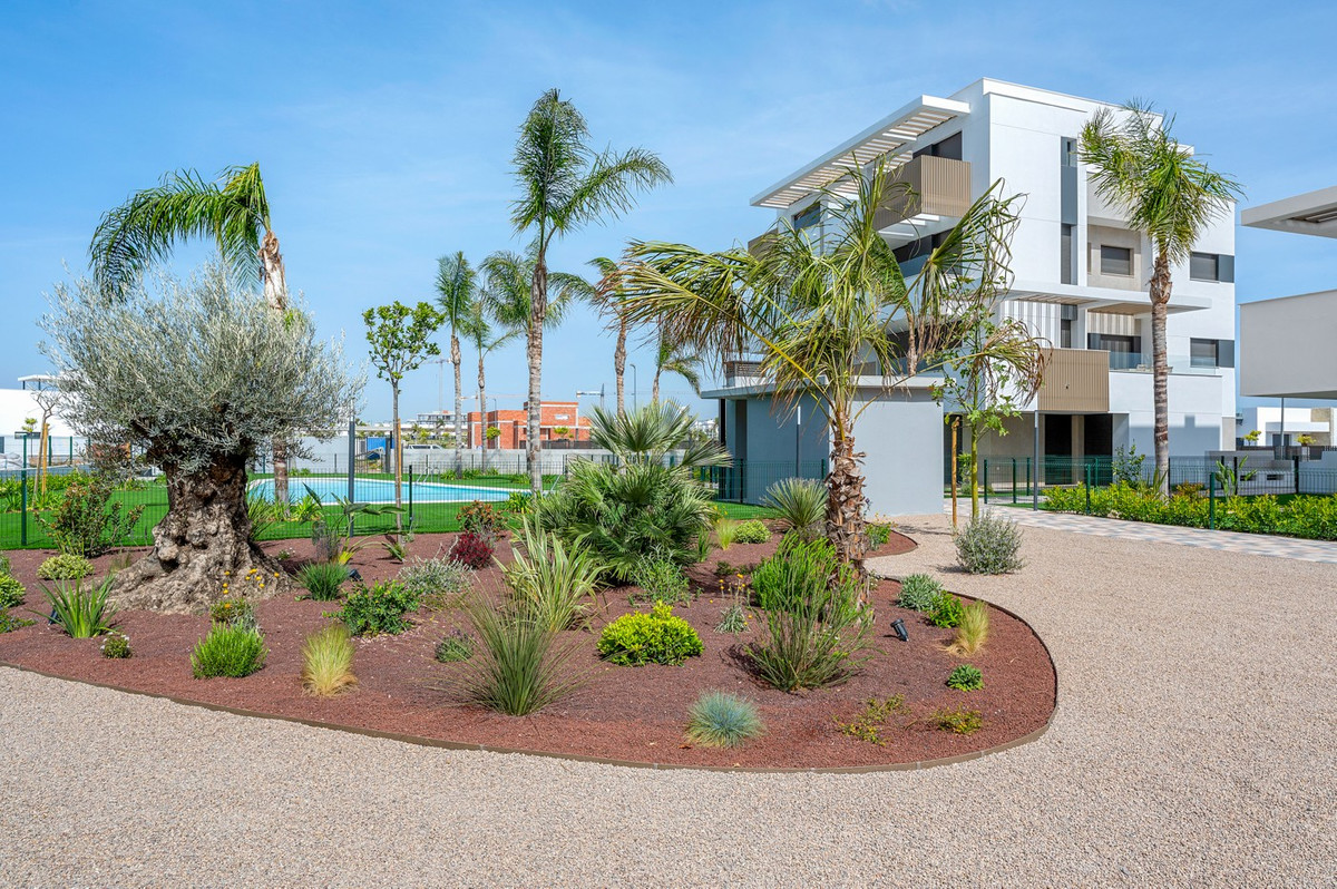 ShowFeedImage Apartment – Middle Floor Apartment in Torre-Pacheco