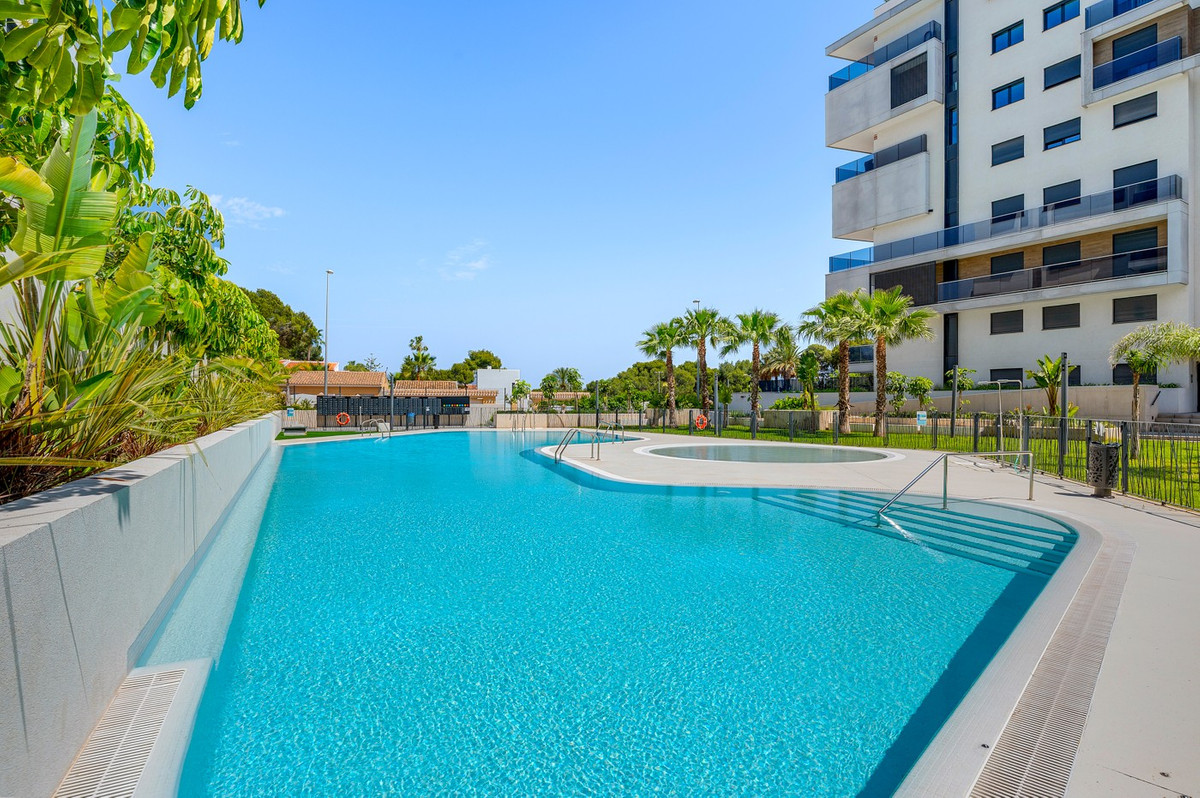 ShowFeedImage Apartment – Ground Floor Apartment in Orihuela