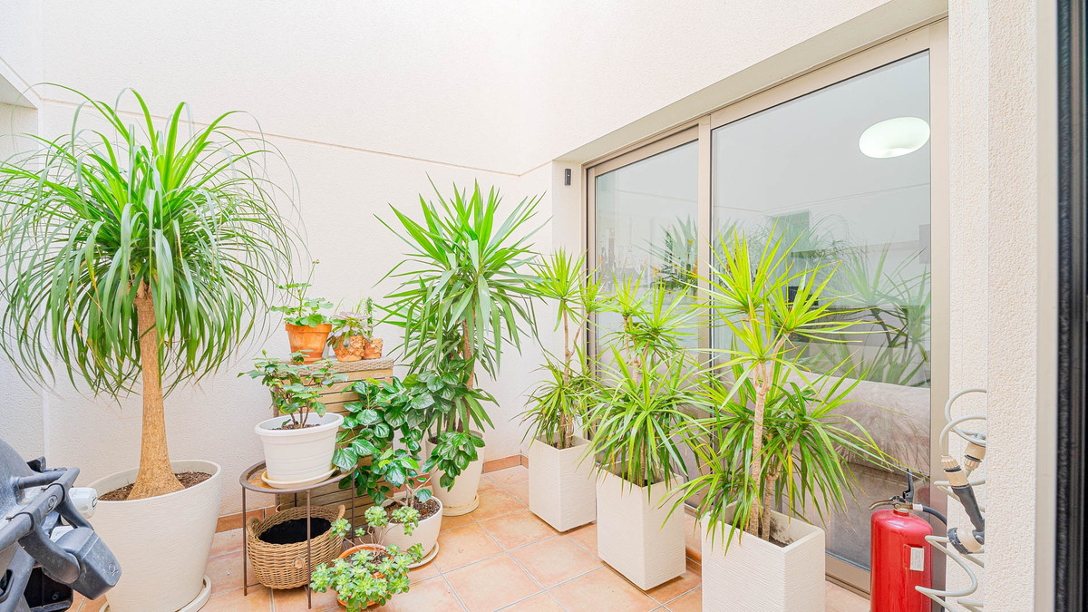 ShowFeedImage House – Townhouse in Orihuela