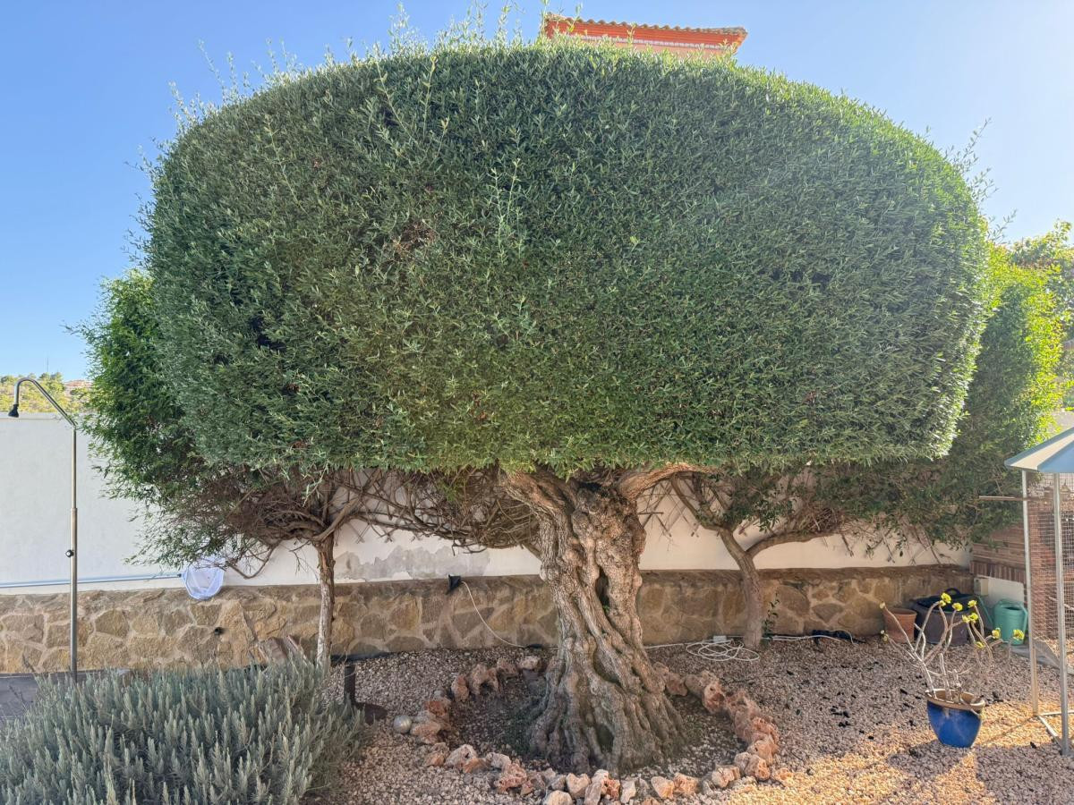 ShowFeedImage House – Detached Villa in San Miguel de Salinas