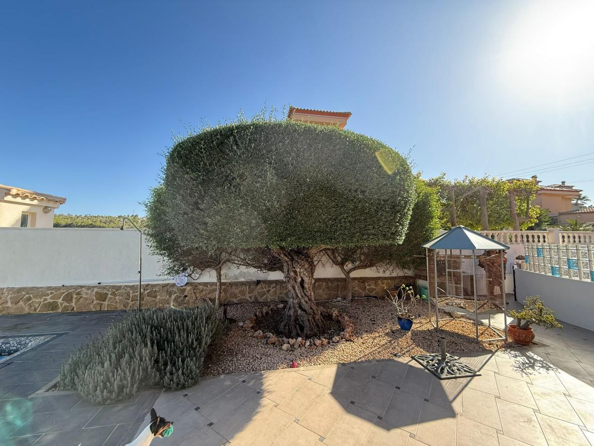 ShowFeedImage House – Detached Villa in San Miguel de Salinas