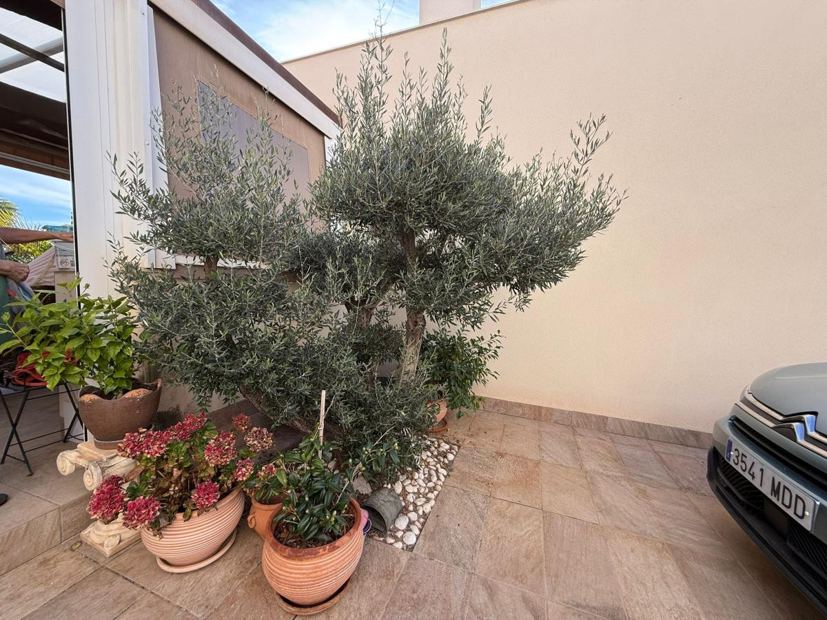 ShowFeedImage House – Detached Villa in Los Montesinos