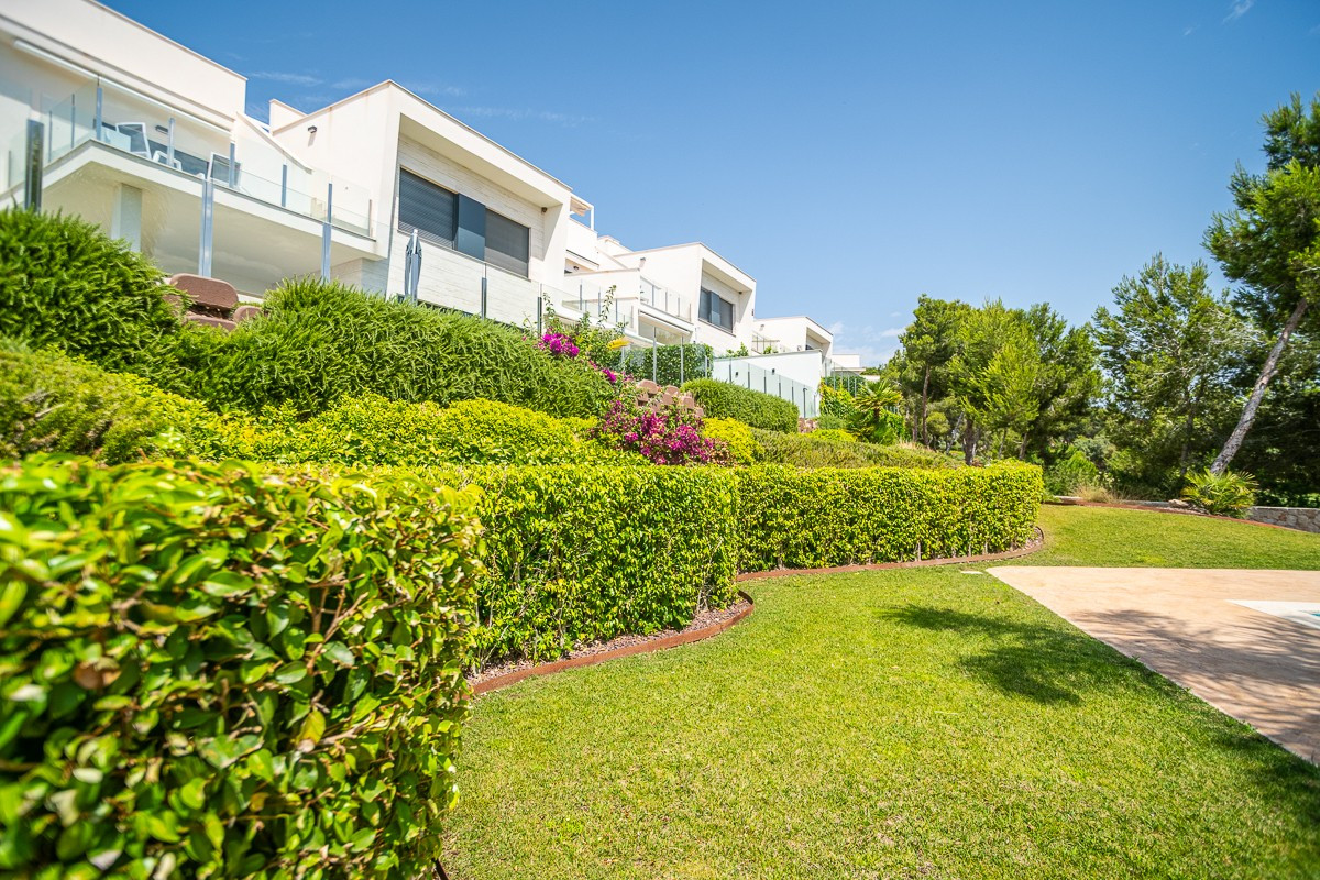 Apartment – Ground Floor Apartment in Pilar de la Horadada