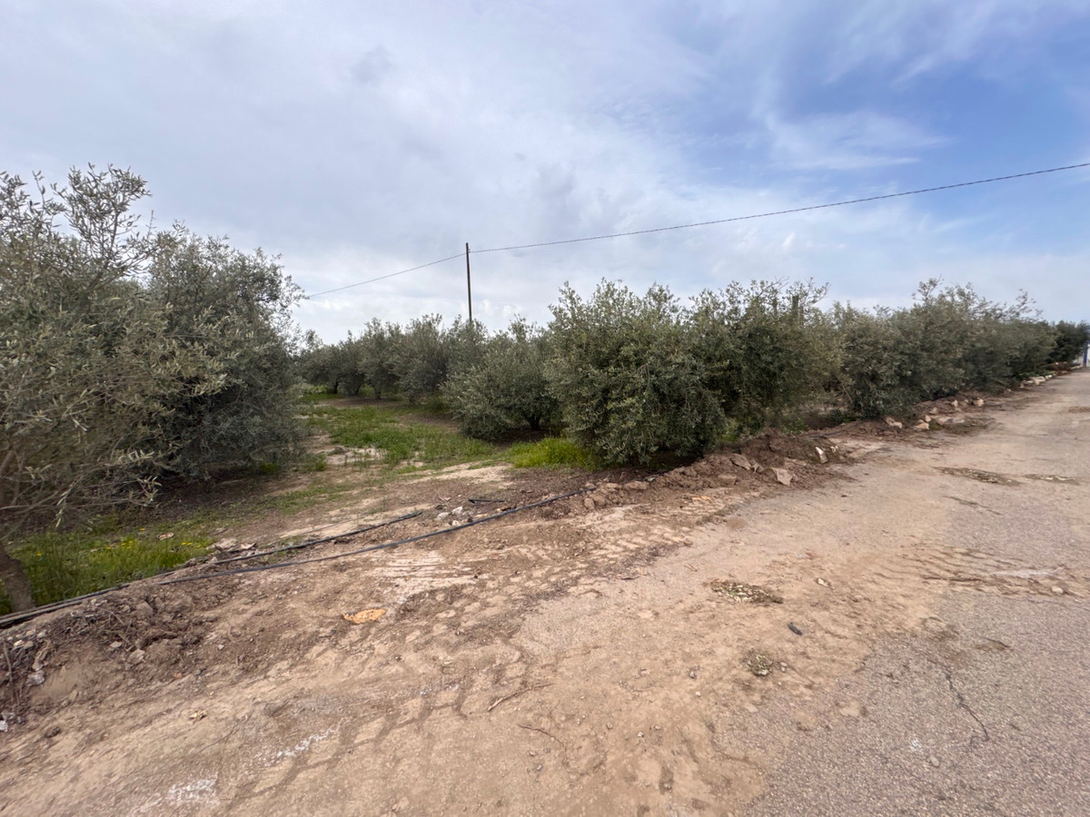 ShowFeedImage House – Detached Villa in Puerto Lumbreras