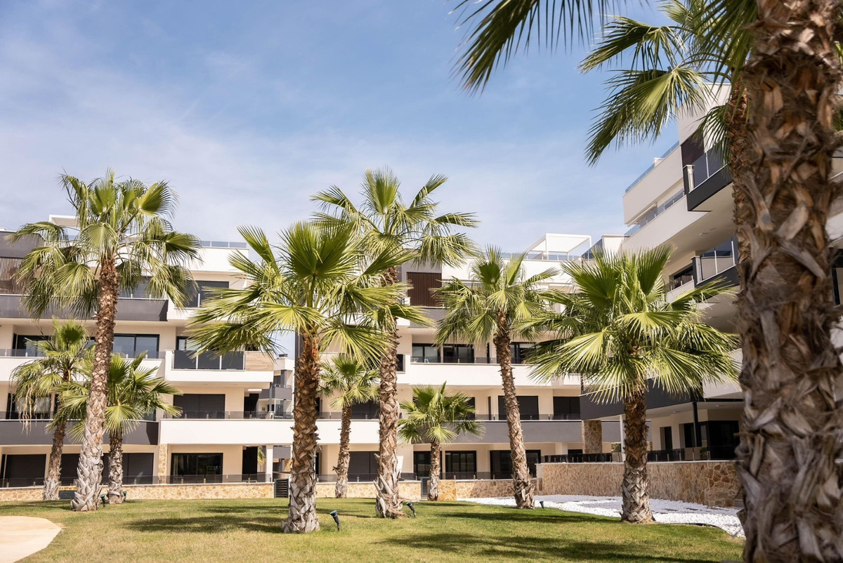 Apartment – Ground Floor Apartment in Orihuela