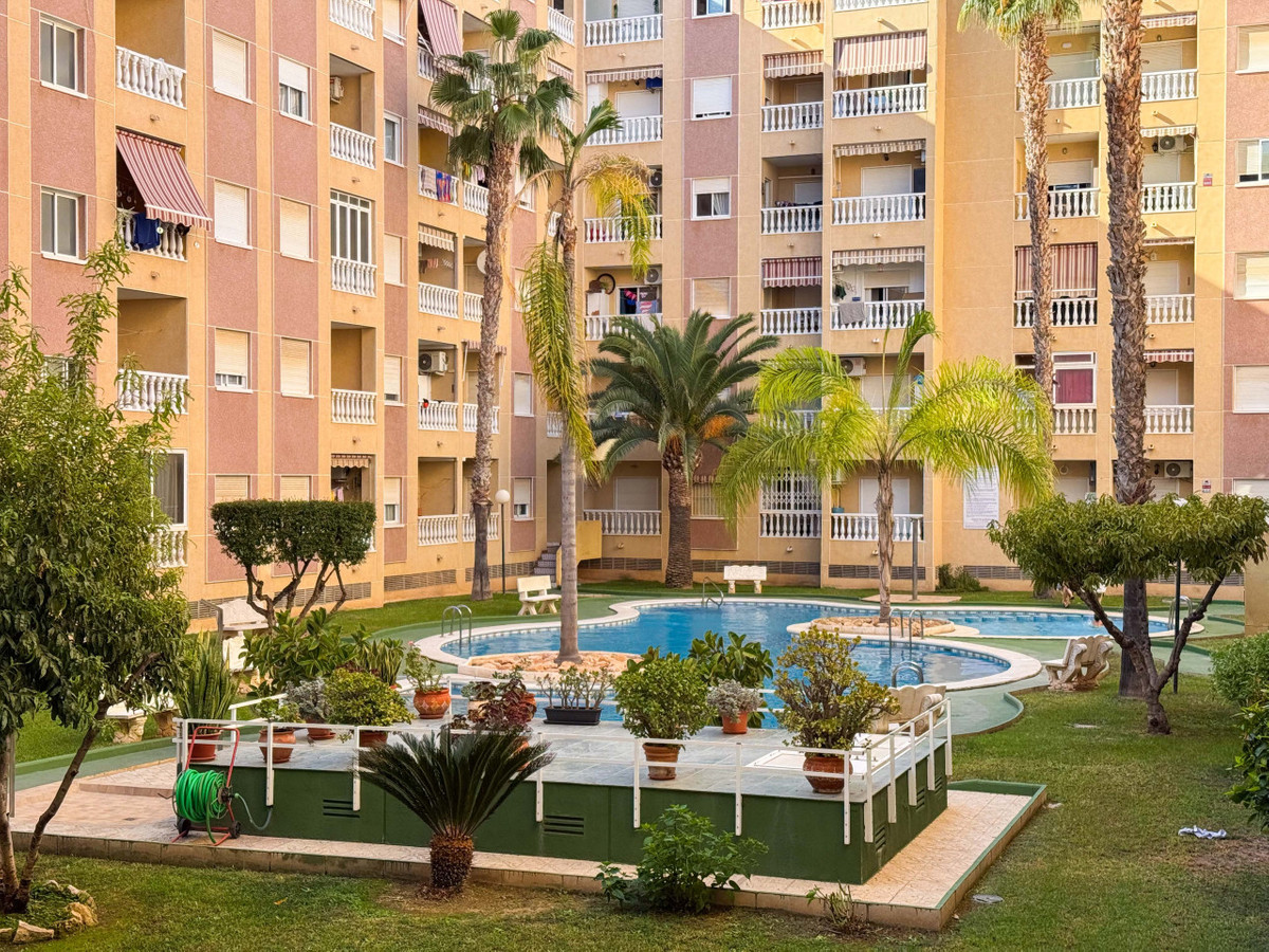 ShowFeedImage Apartment – Ground Floor Apartment in Torrevieja