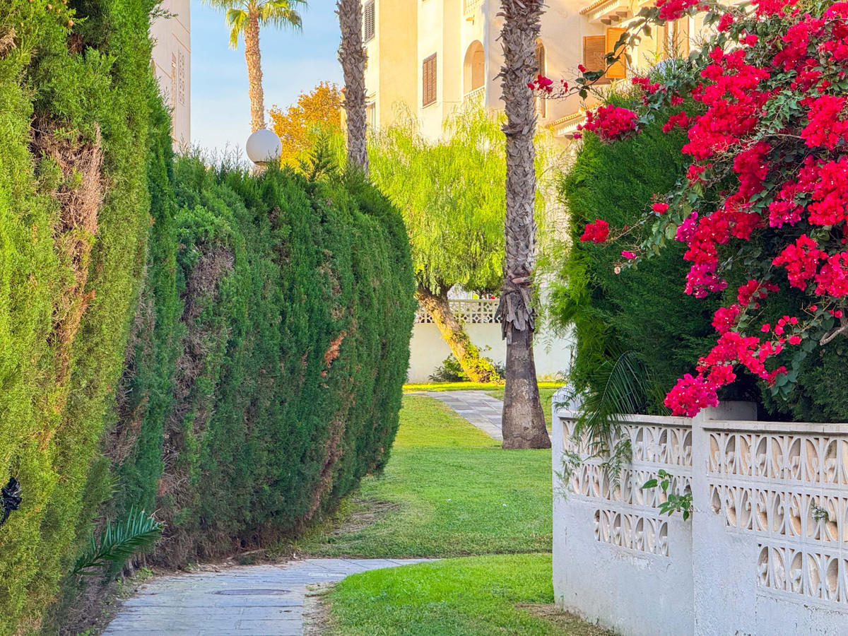 ShowFeedImage Apartment – Top Floor Apartment in Torrevieja