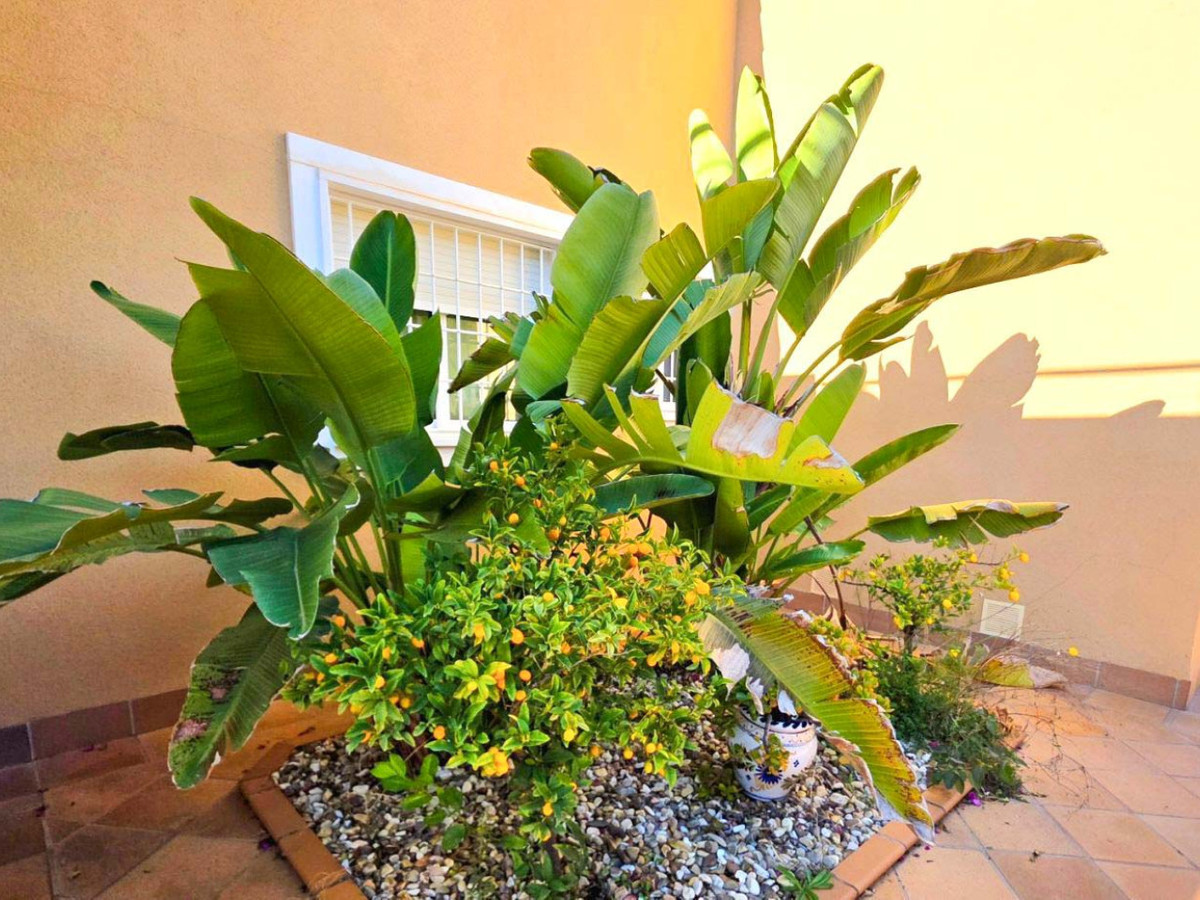House – Detached Villa in Orihuela