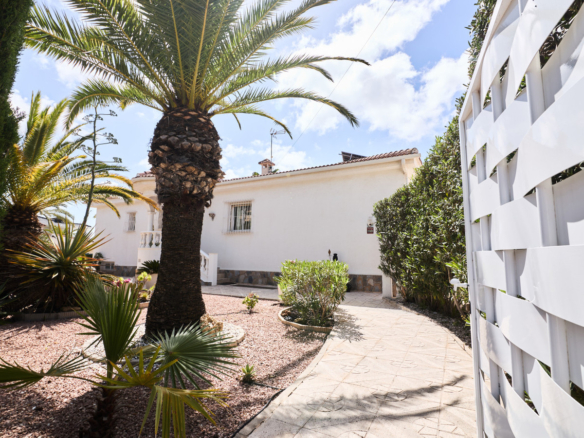 House – Detached Villa in Rojales