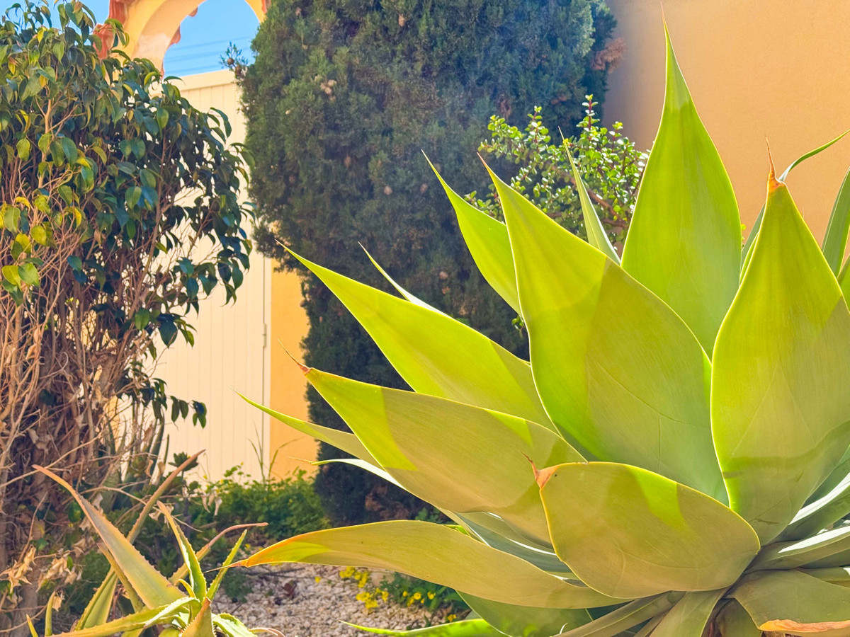 House – Detached Villa in Torrevieja