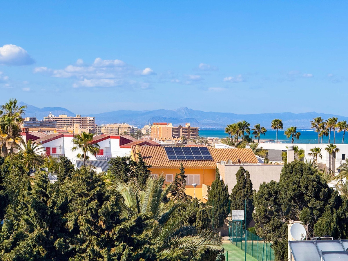 House – Detached Villa in Torrevieja