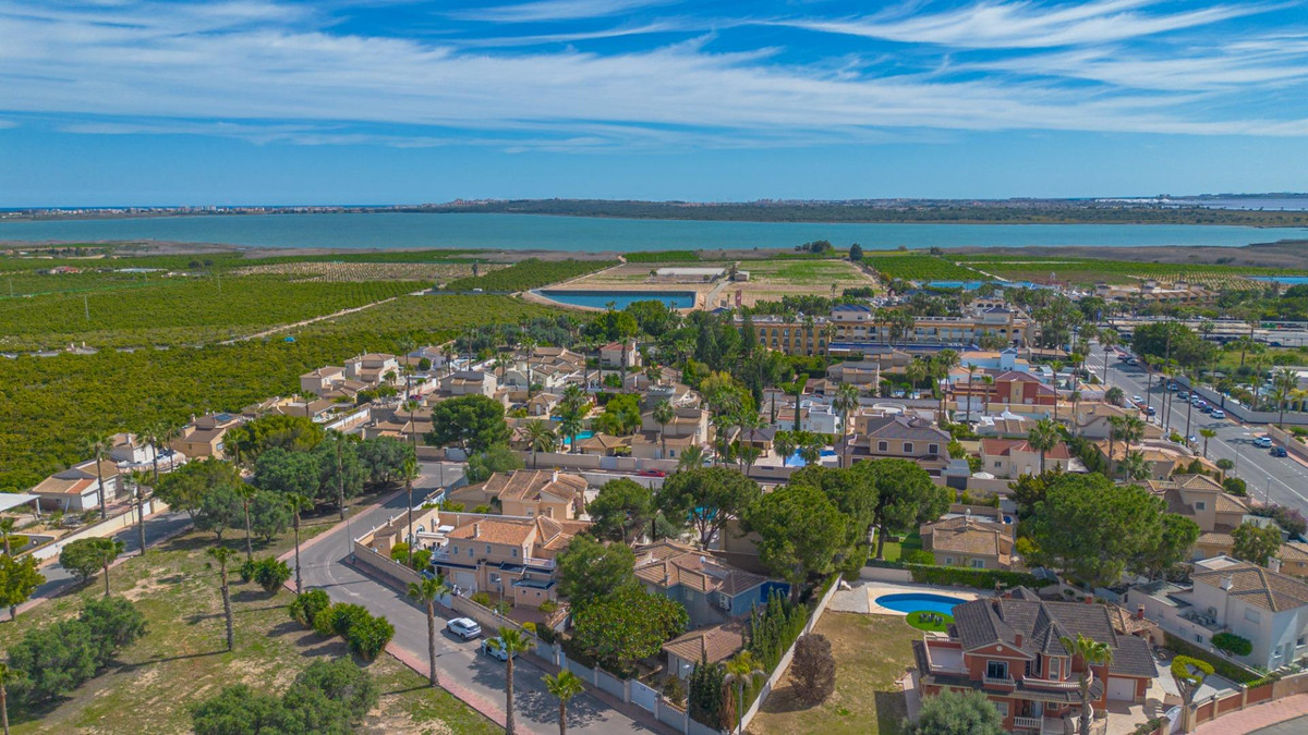 House – Detached Villa in Rojales