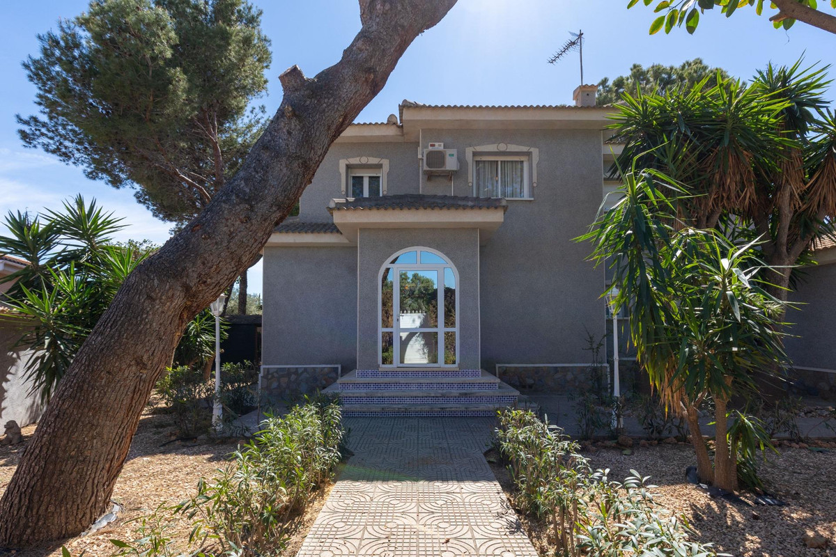 House – Detached Villa in Rojales