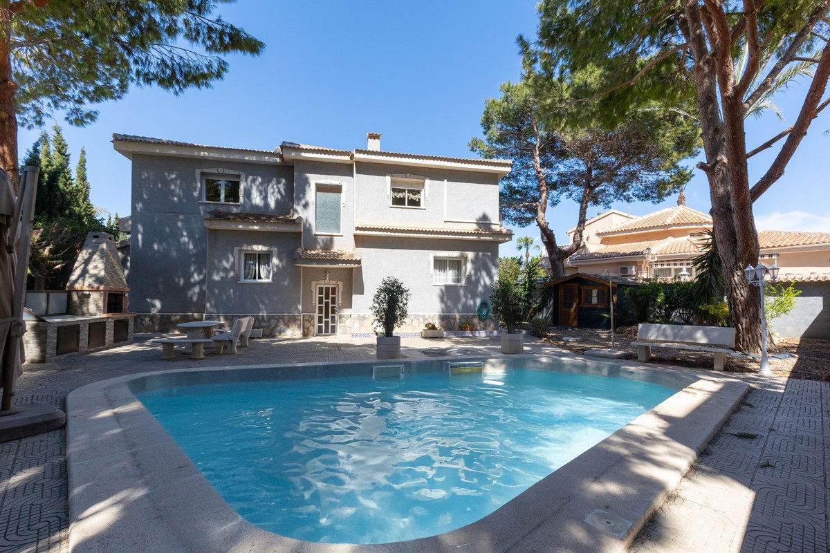 House – Detached Villa in Rojales