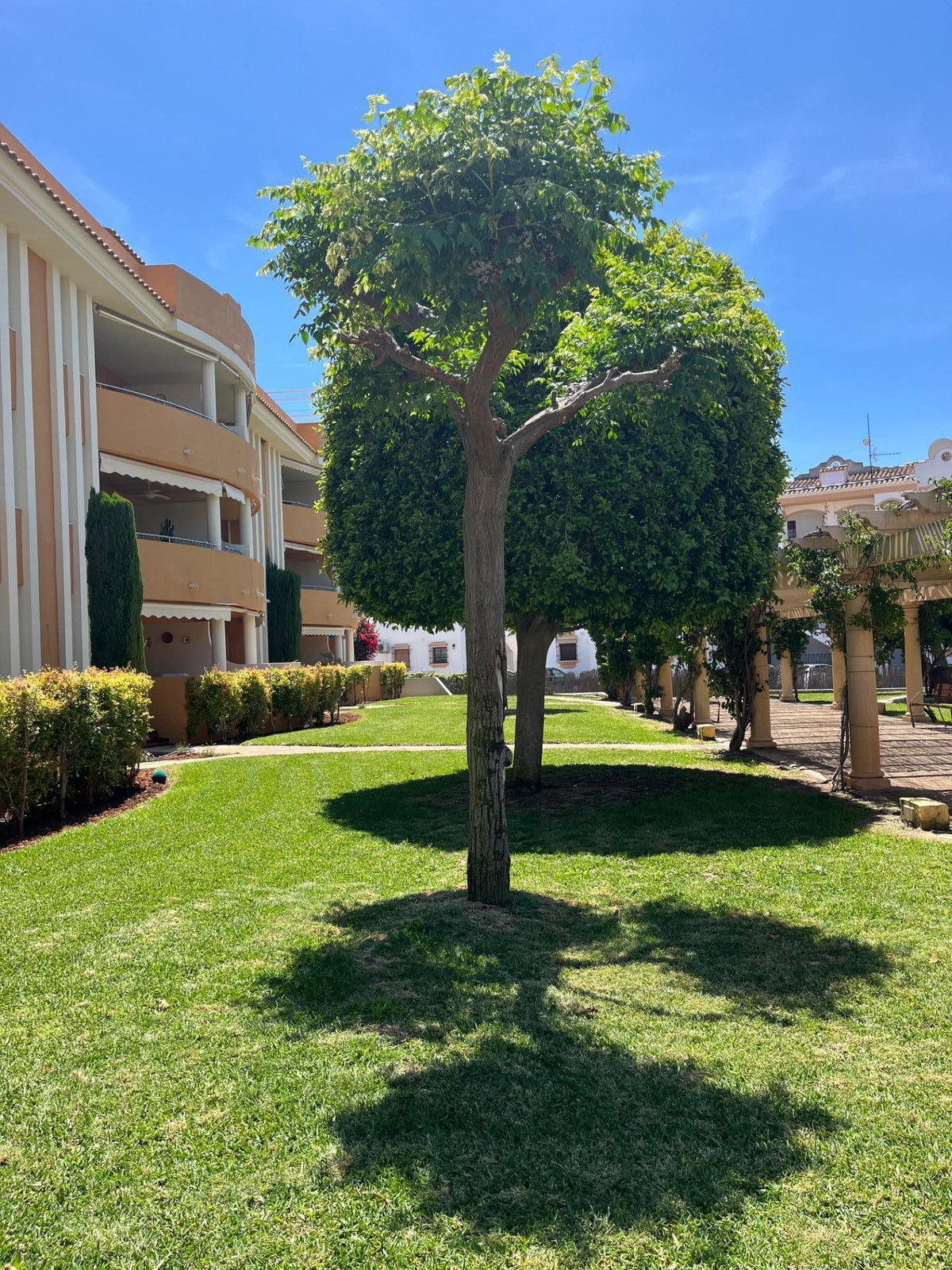 ShowFeedImage Apartment – Middle Floor Apartment in Denia