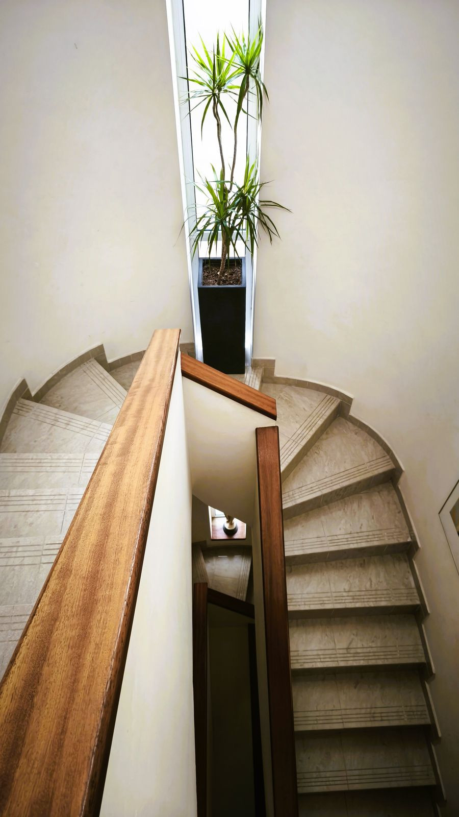 House – Detached Villa in Alicante