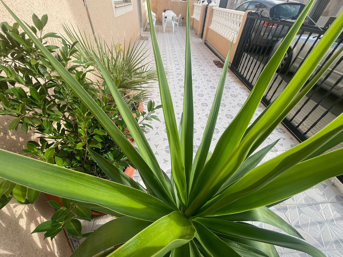 ShowFeedImage House – Semi-Detached House in San Pedro del Pinatar
