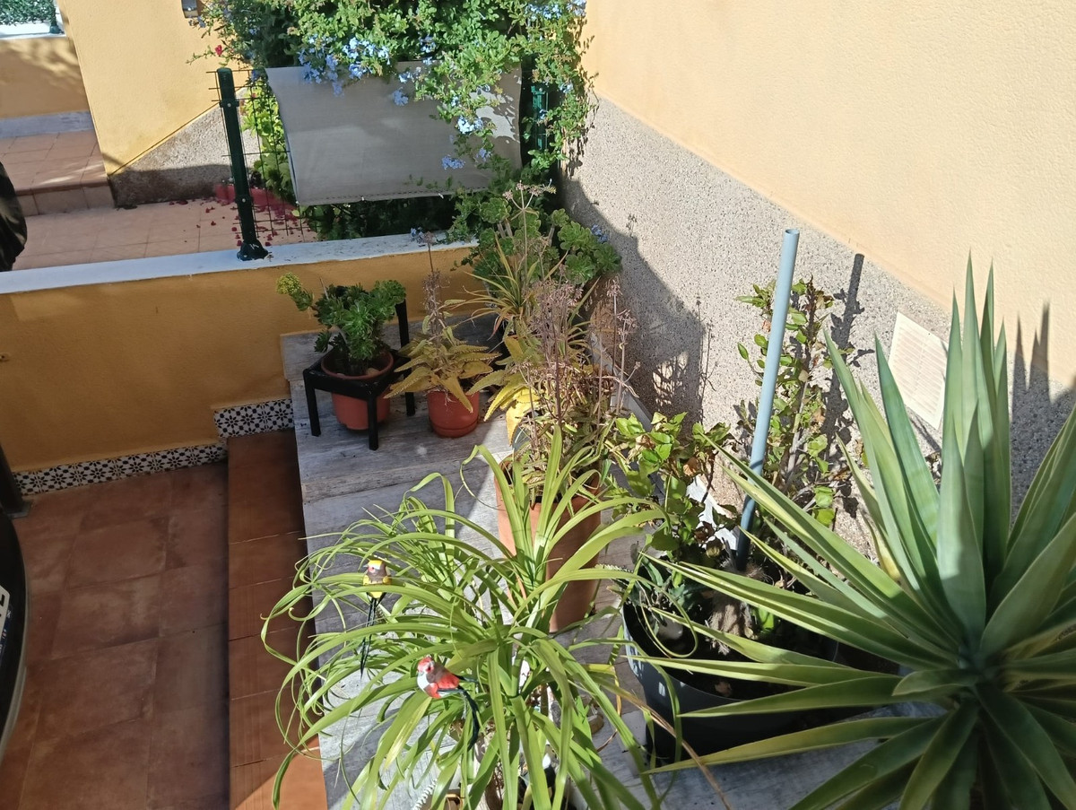 Apartment – Ground Floor Apartment in Los Montesinos
