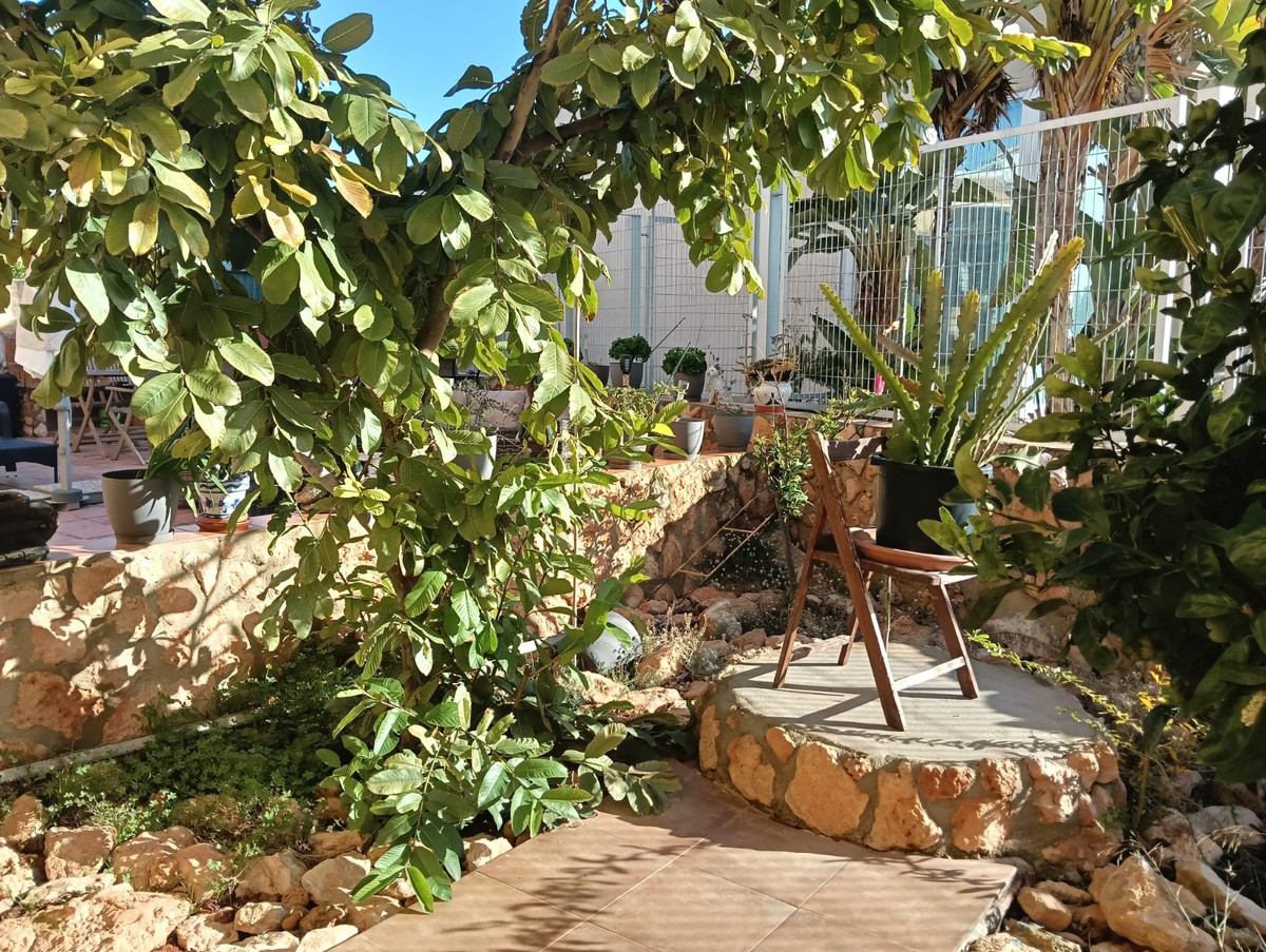 Apartment – Ground Floor Apartment in Los Montesinos