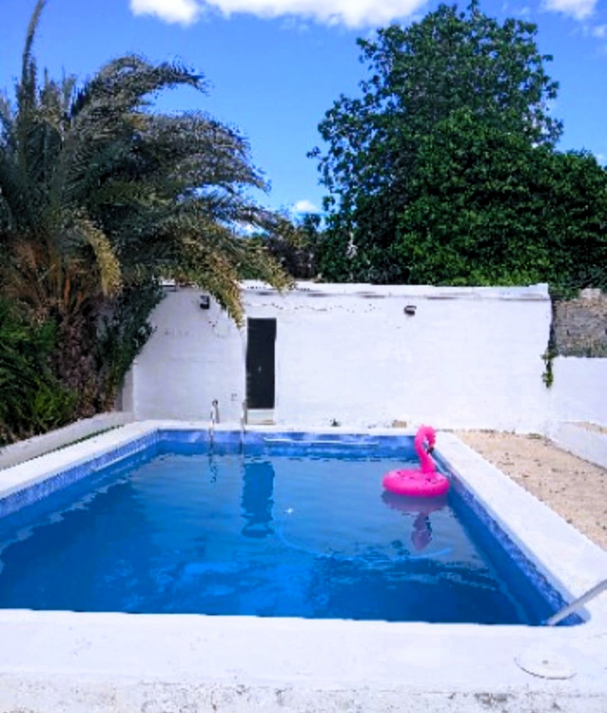 House – Detached Villa in Elche