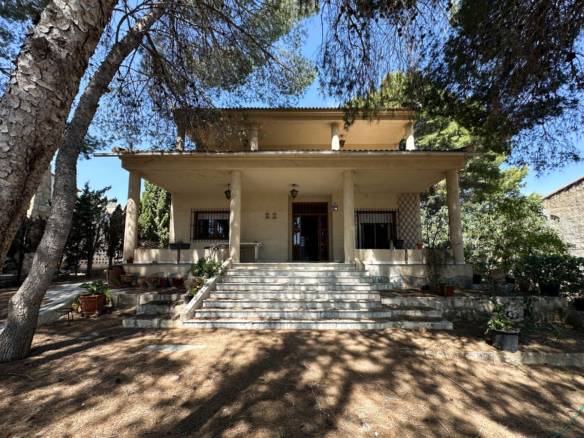 House – Detached Villa in Torrevieja