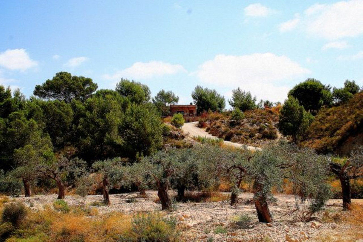 House – Finca – Cortijo in Murcia
