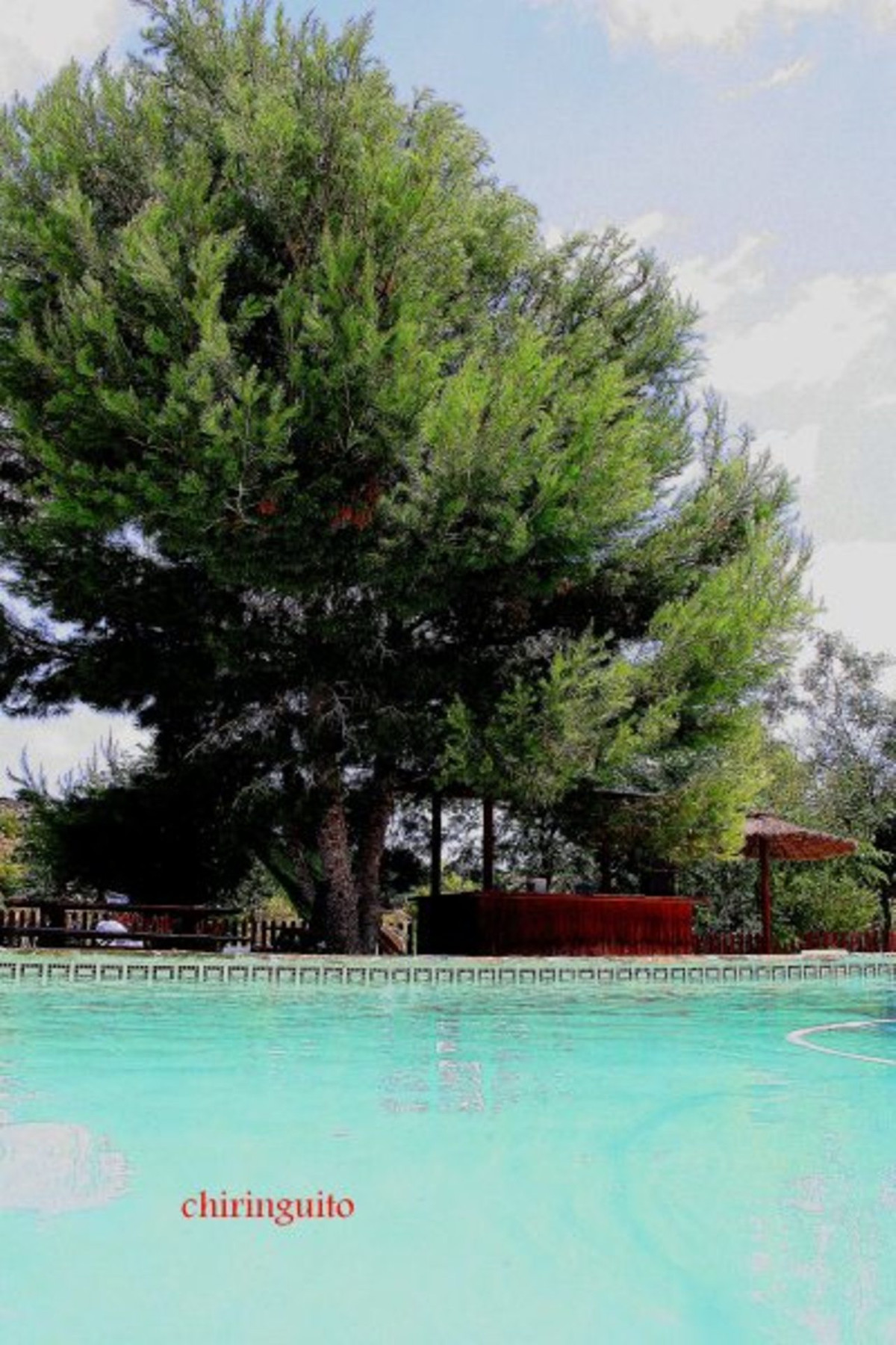 House – Finca – Cortijo in Murcia