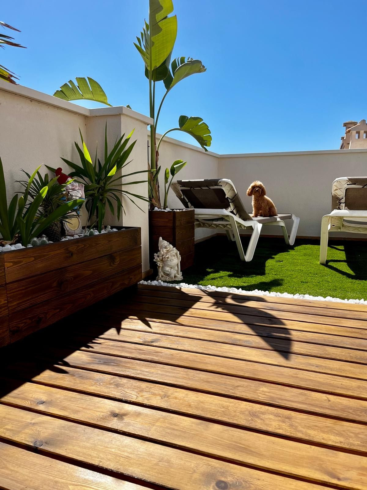 ShowFeedImage Apartment – Penthouse in Los Alcazares