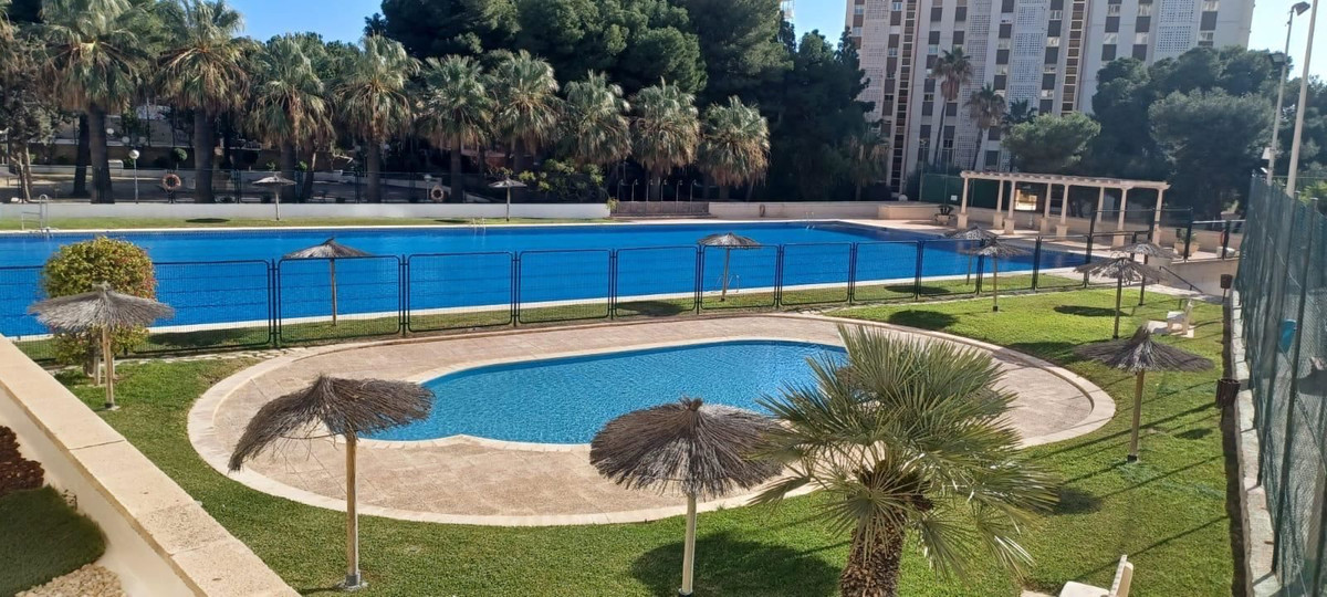 ShowFeedImage Apartment – Middle Floor Apartment in San Juan de Alicante