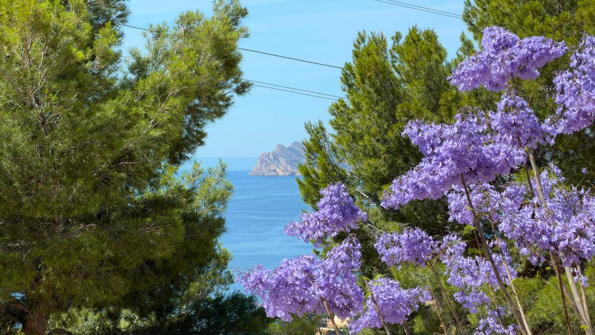 House – Bungalow in Altea