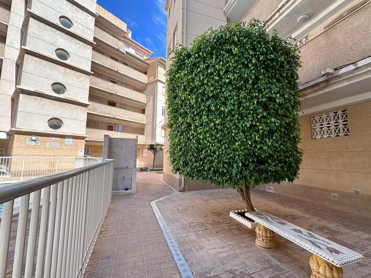 ShowFeedImage Apartment – Middle Floor Apartment in Torrevieja