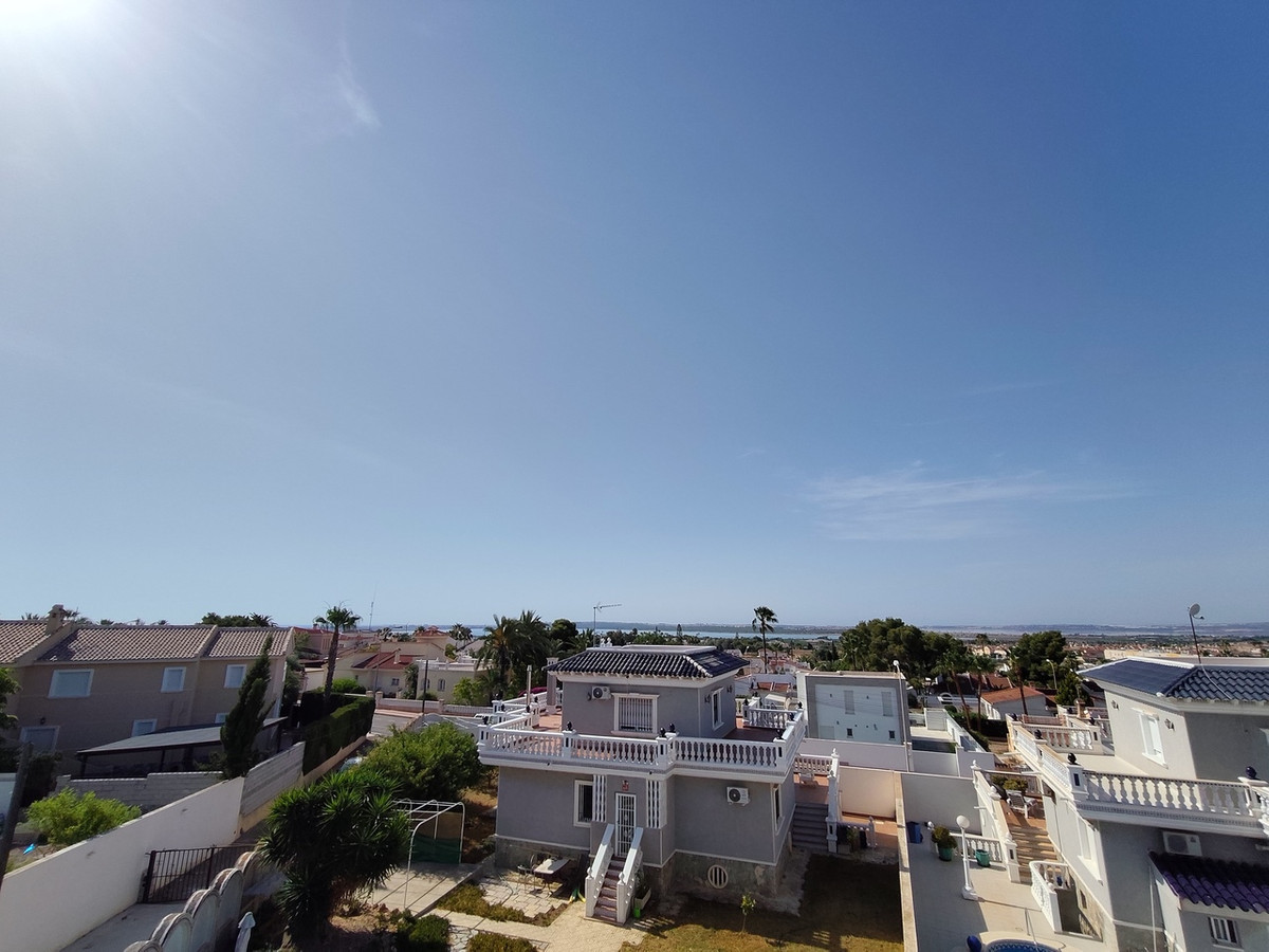 House – Detached Villa in Rojales