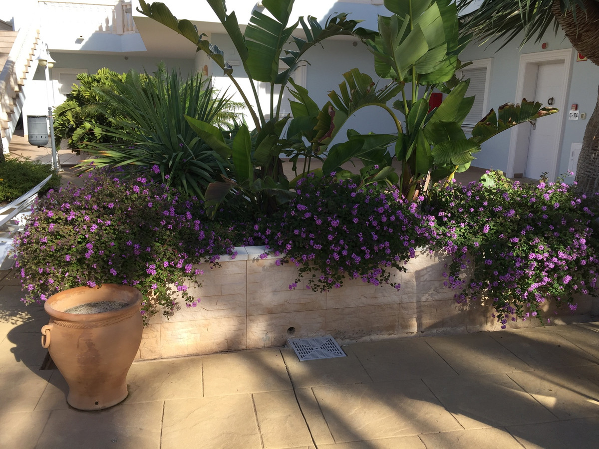 Apartment – Ground Floor Apartment in Benissa
