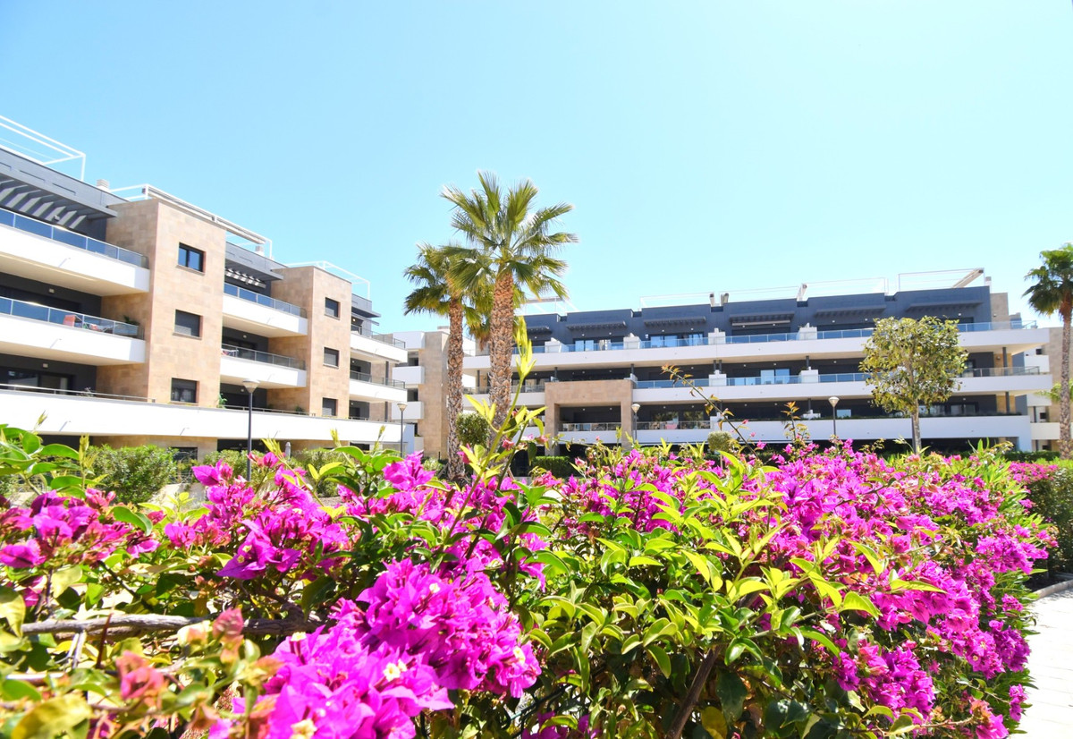 Apartment – Ground Floor Apartment in Orihuela