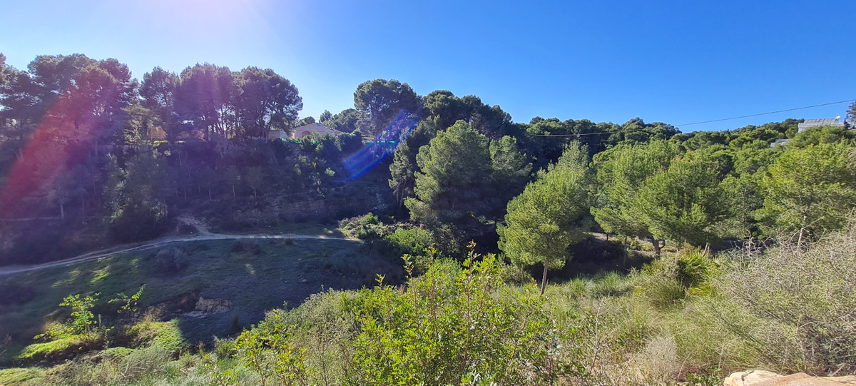 House – Detached Villa in Pilar de la Horadada