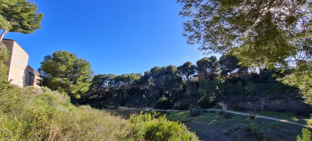 House – Detached Villa in Pilar de la Horadada