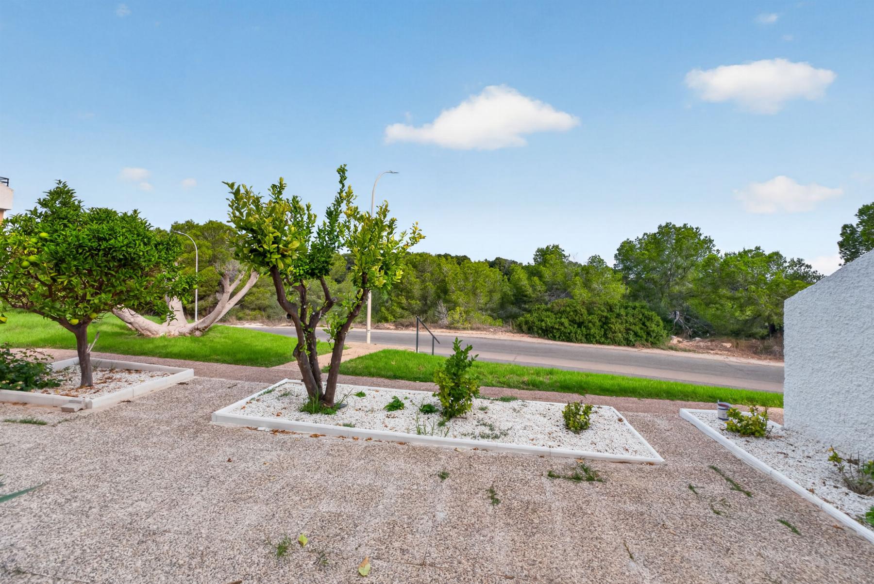 2247_bcb7b2ecff25d5823099be6ab985942f Bungalow in Villamartin, Orihuela Costa